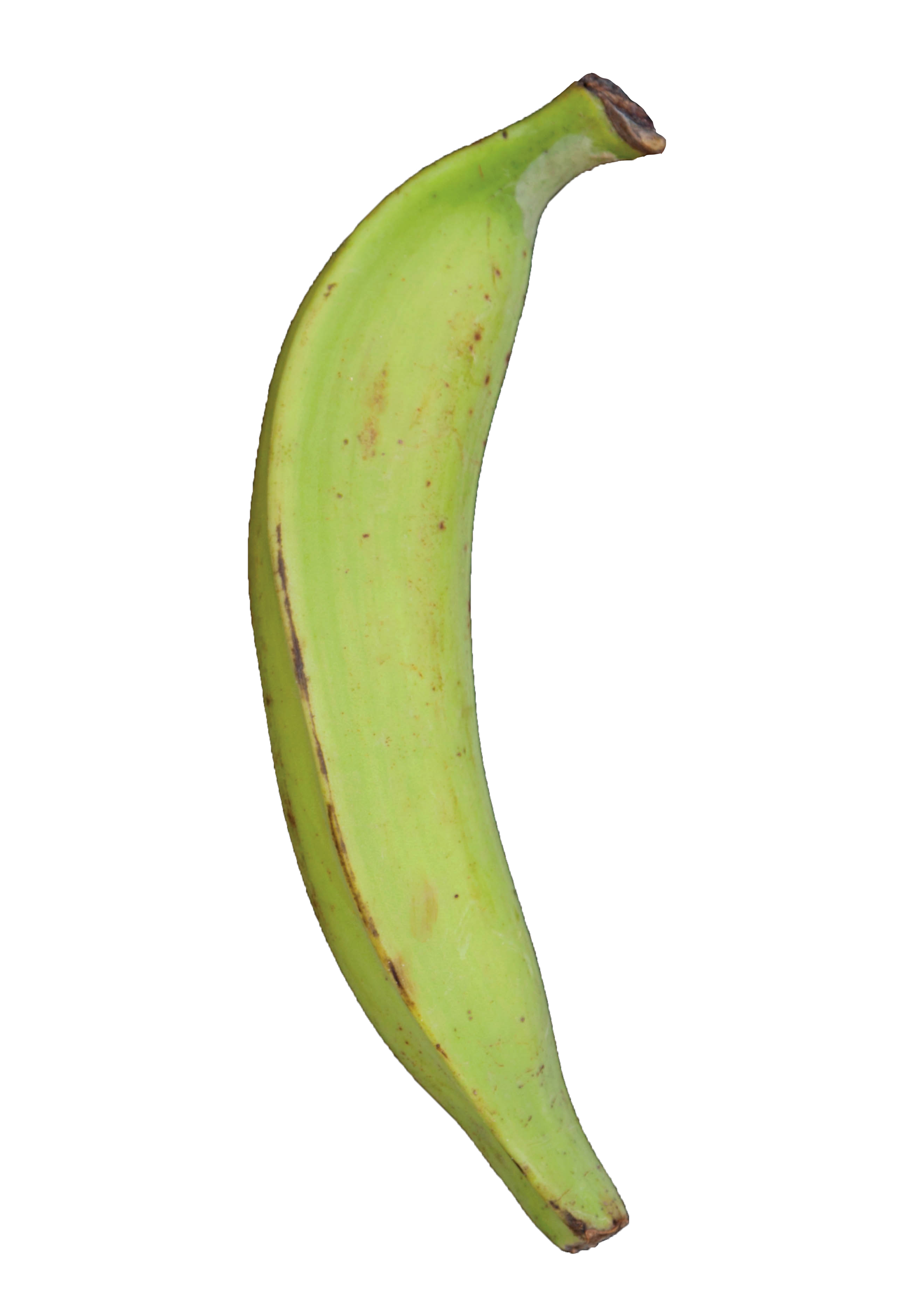 Plantain