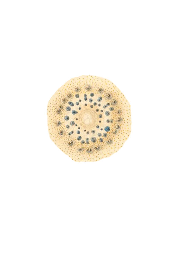 hyppää seuraavaan bussiin