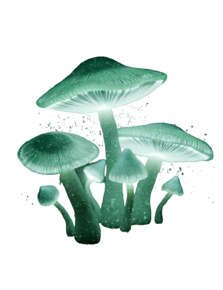 Glowing Mushroom