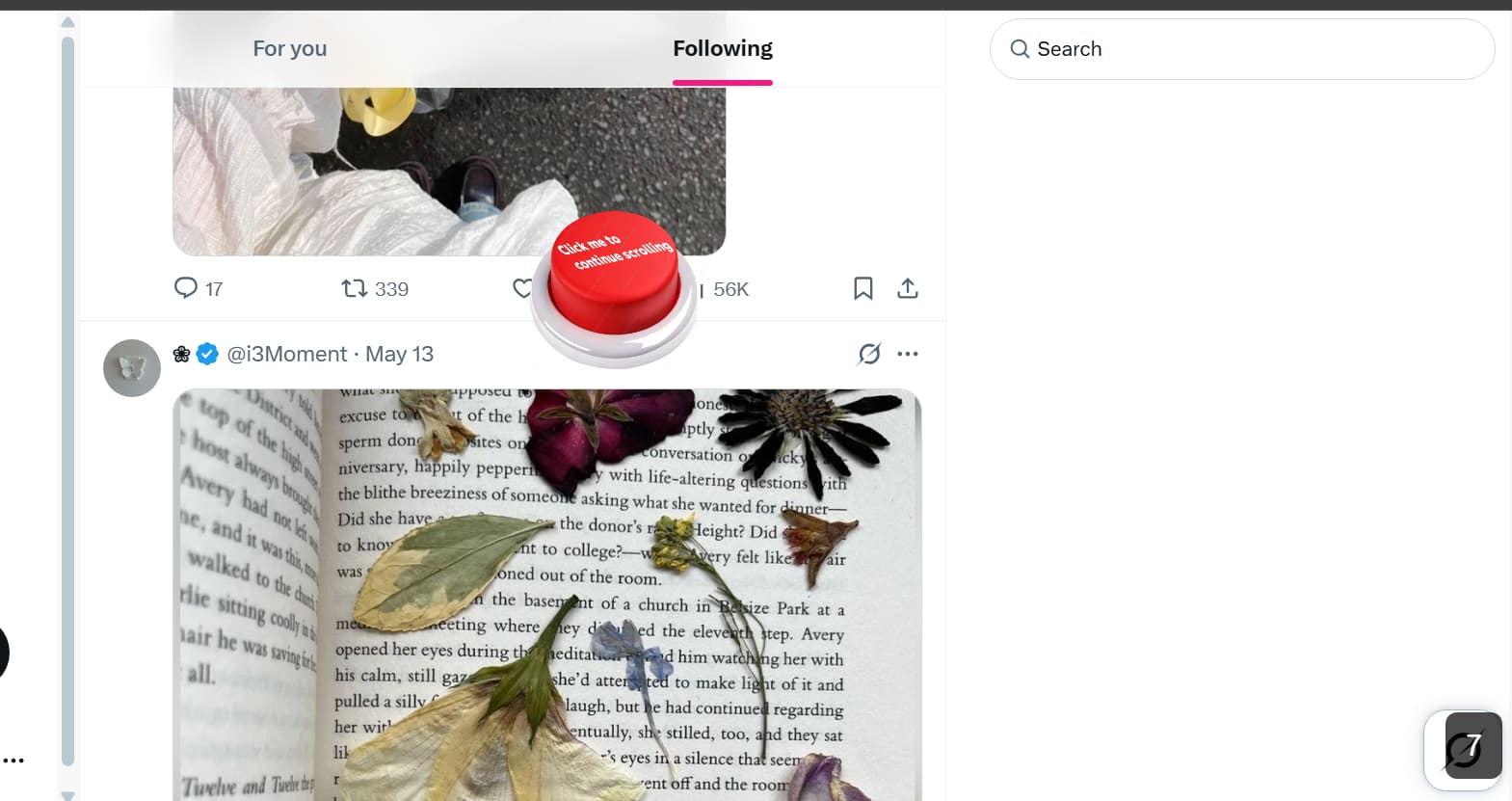 Alternative description of my image