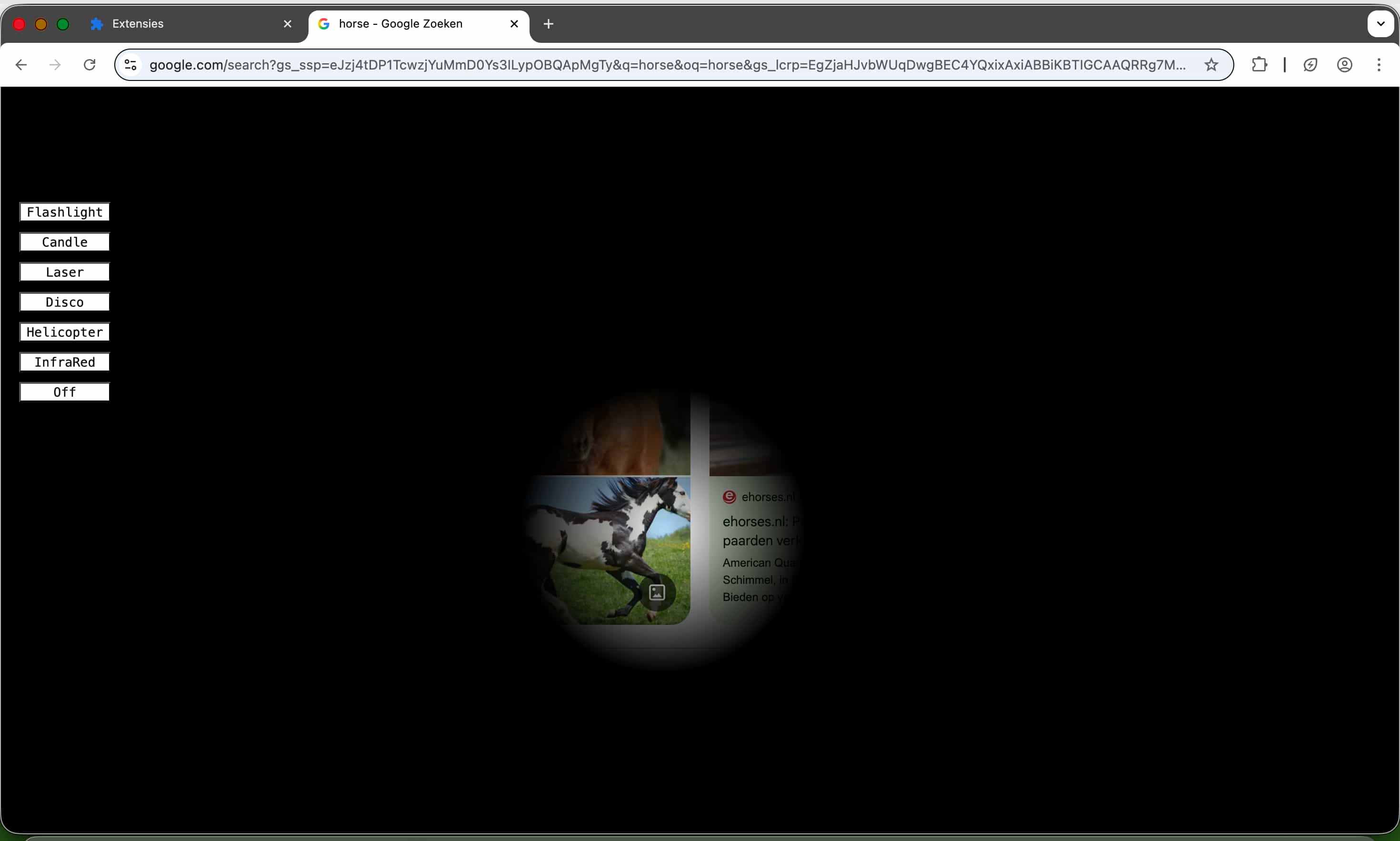 Horse viewed with the Flashlight