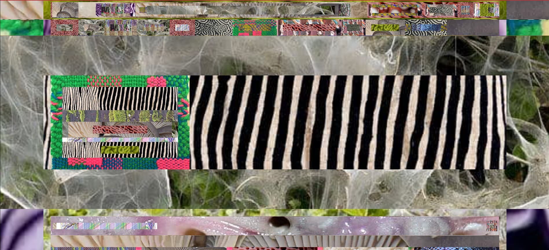 Alternative description of my image